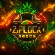 Dragon Fruit (Fotoperiodica) Ziplock Seeds x6